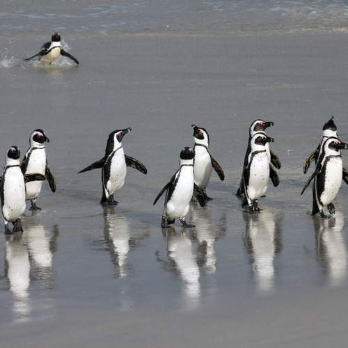 Photo #13108387