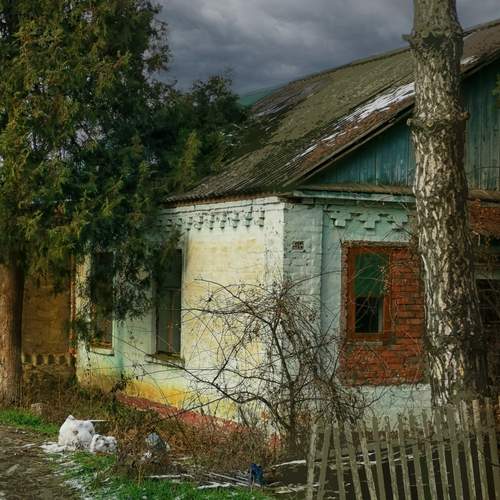 Photo #13108504