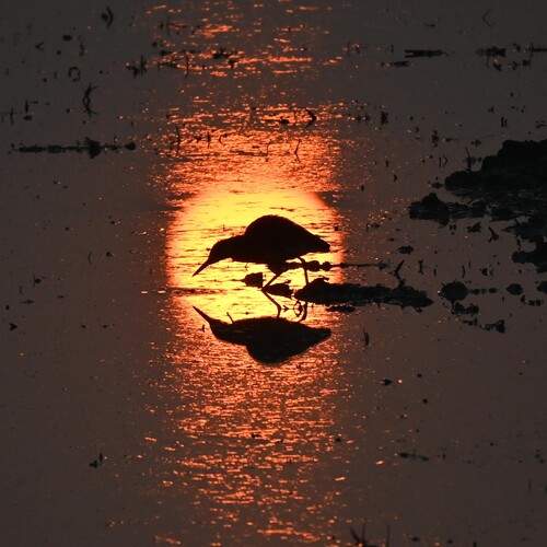 Photo #13108569