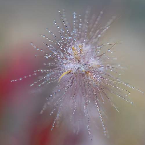 Фотография #13108638