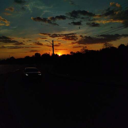Photo #13108652