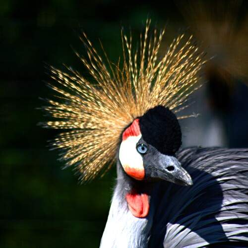 Photo #13108672