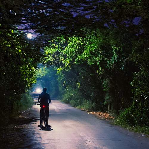 Photo #13108985