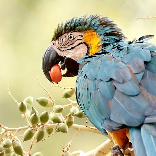 Фотография #13109029