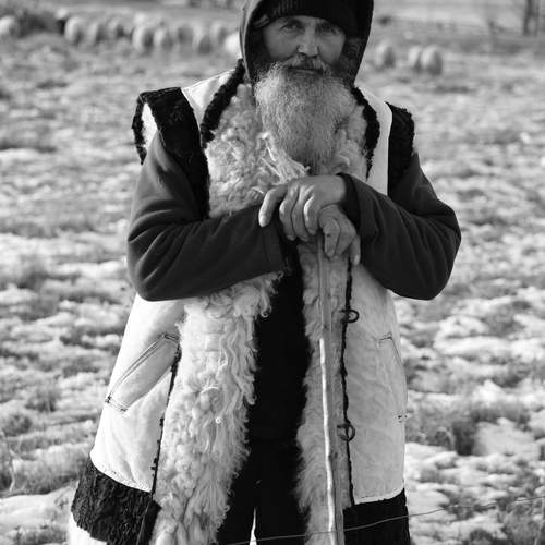Photo #13109049