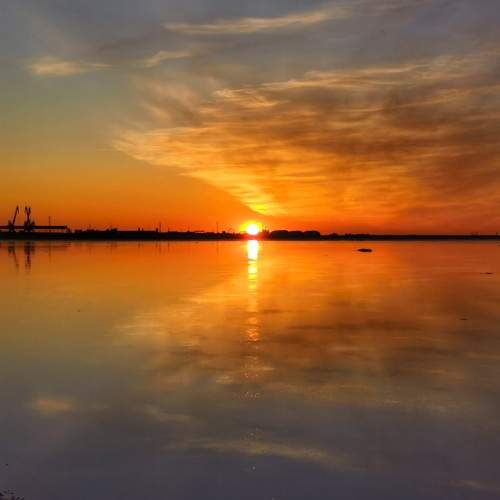 Photo #13109162