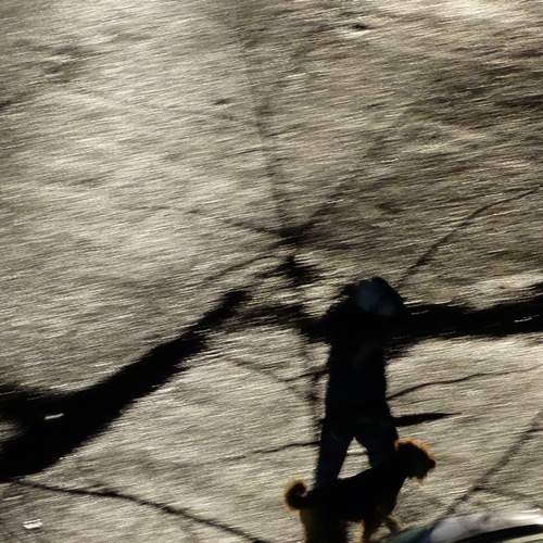 Photo #13109296