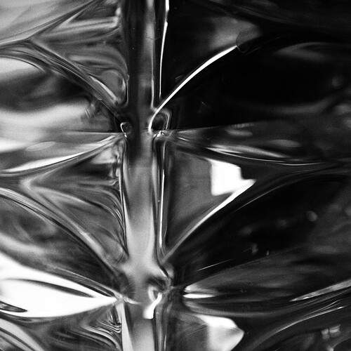 Photo #13109391