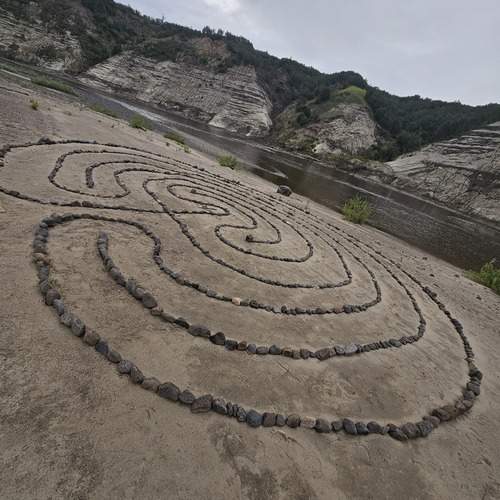 Photo #13109401