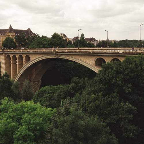 Photo #13109569