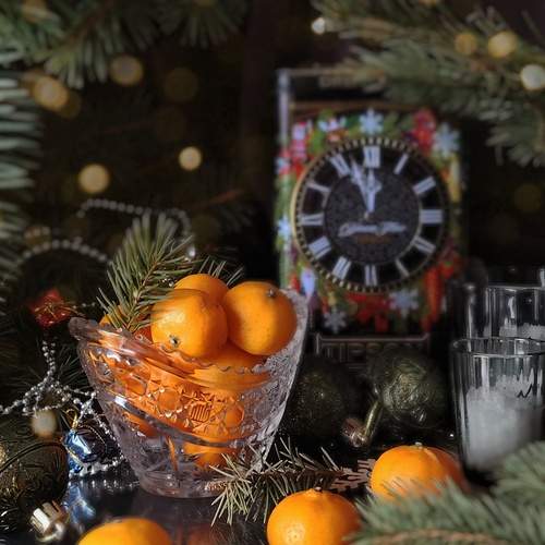 Photo #13109616