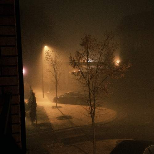 Photo #13109643
