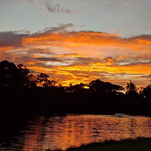 Photo #13109729