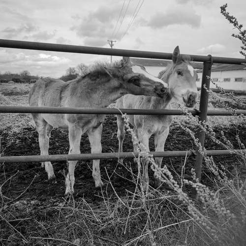 Photo #13109756