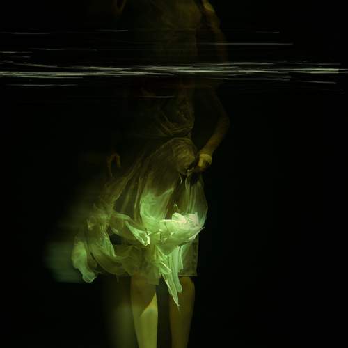 Photo #13109960