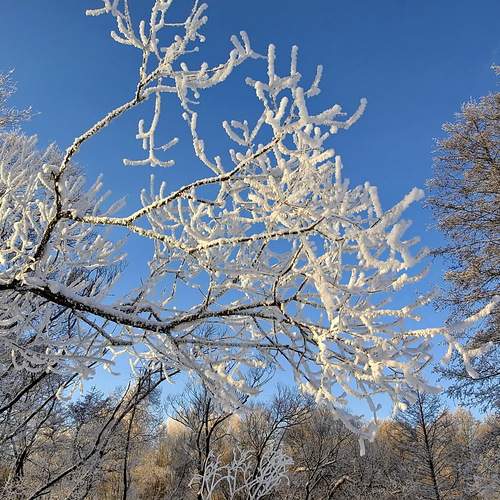 Photo #13109963