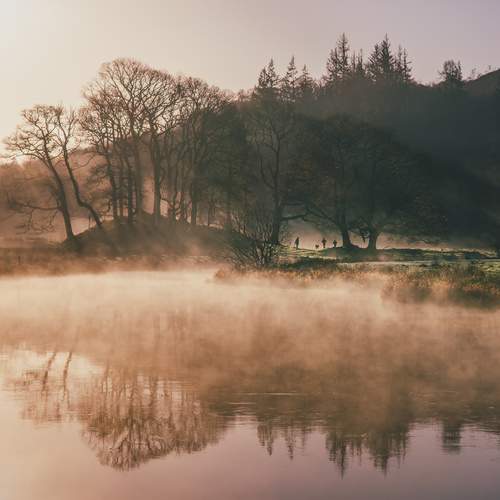 Photo #13109970