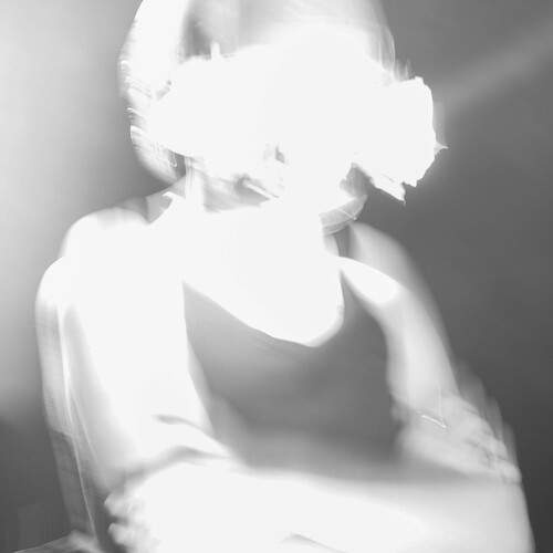 Photo #13110003