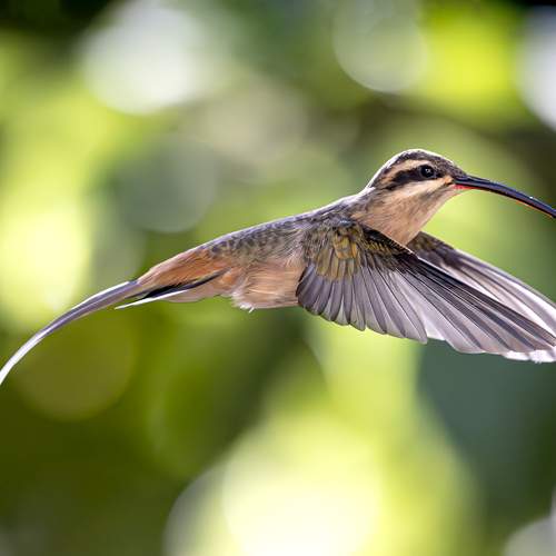 Фотография #13110063