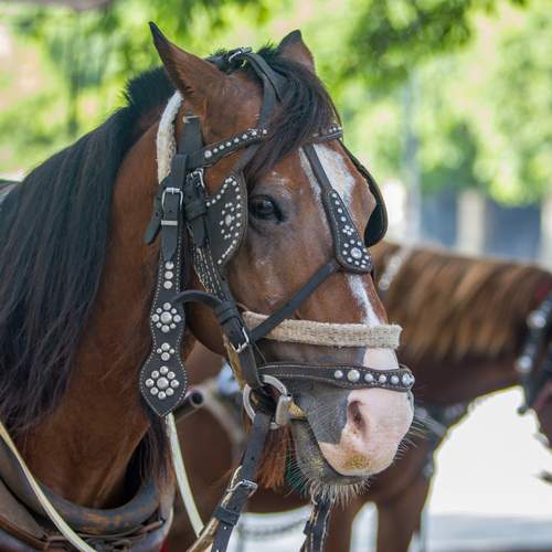 Фотография #13110124