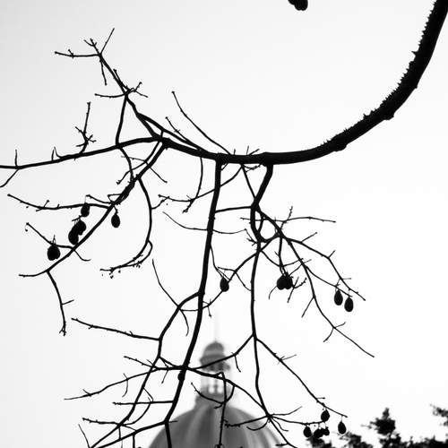 Фотография #13110130