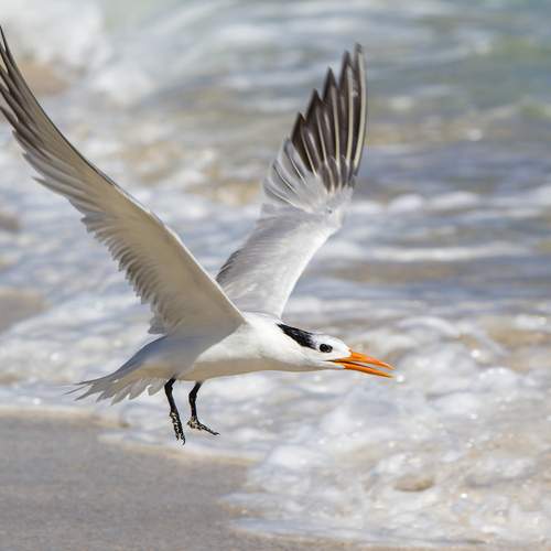 Фотография #13110186