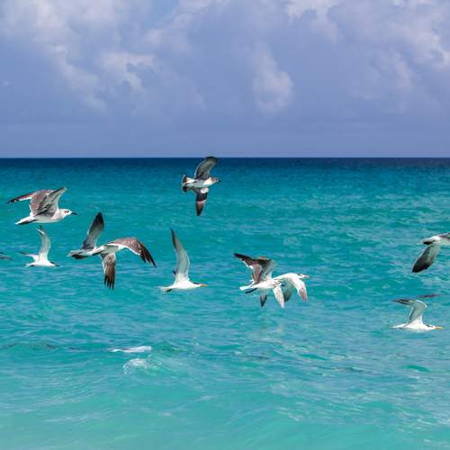 Фотография #13110189