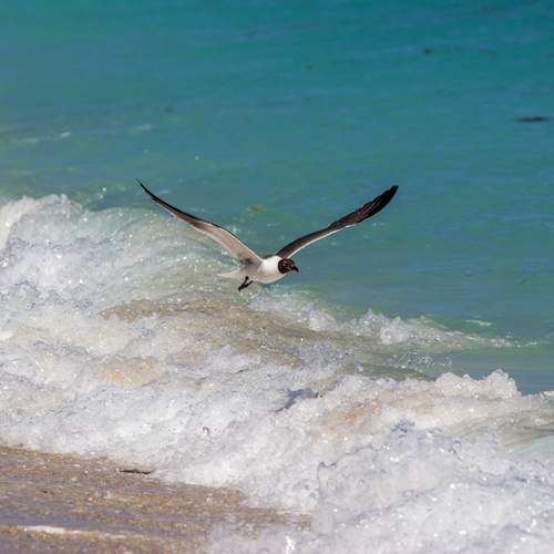 Фотография #13110192