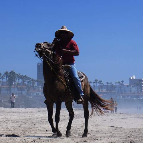 Photo #13110234