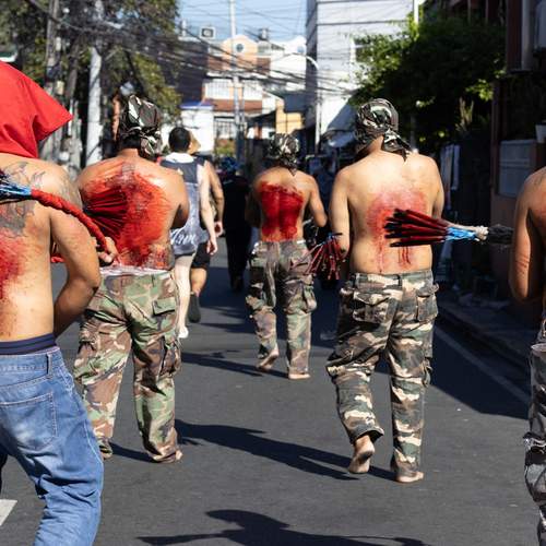 Photo #13110247