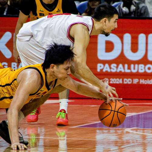 Photo #13110249