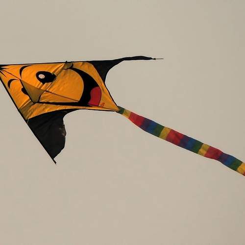 Photo #13110319