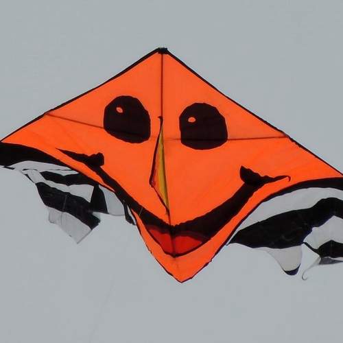 Photo #13110321