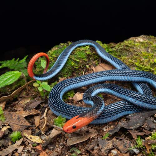 Фотография #13110426