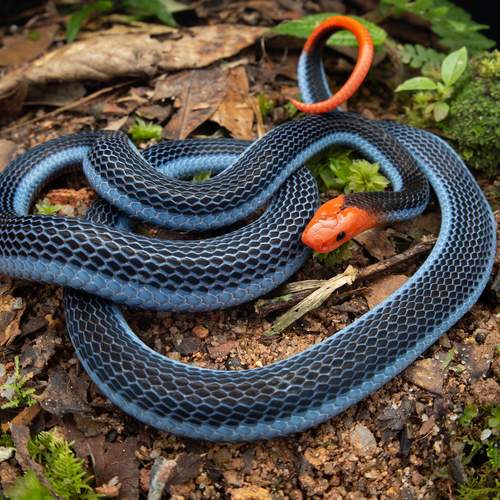 Фотография #13110427