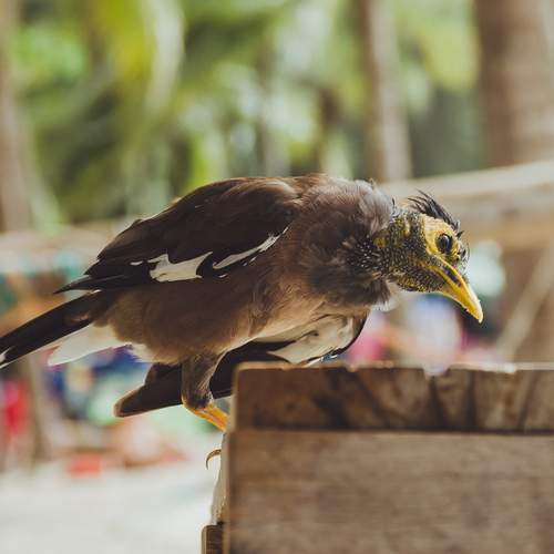 Photo #13110544