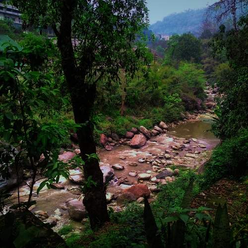 Photo #13110559