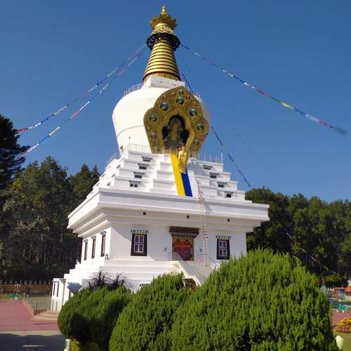 Photo #13110560