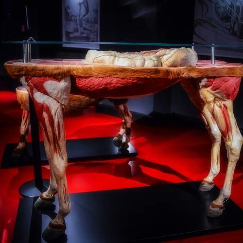 Фотография #13110590