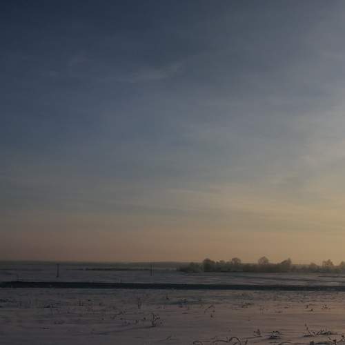 Photo #13110815