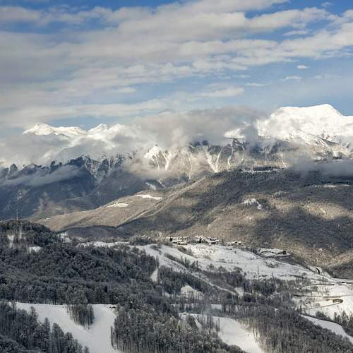 Photo #13110870
