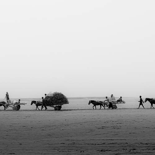 Photo #13110878