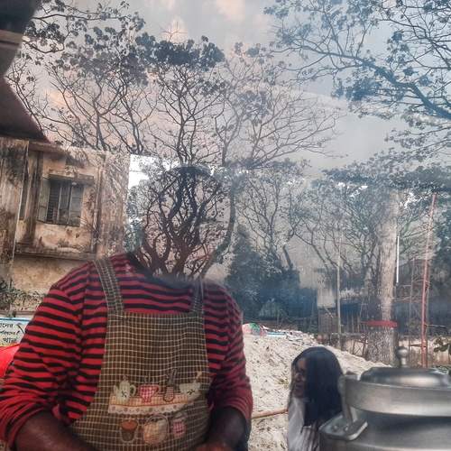 Photo #13111022