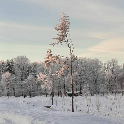 Photo #13111063