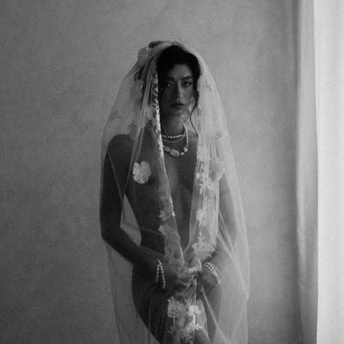 Photo #13111262