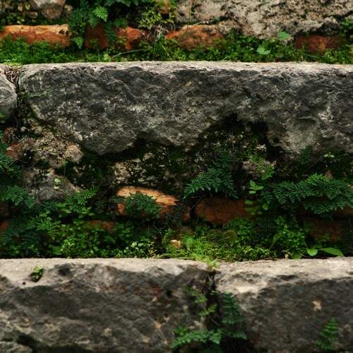 Photo #13111279