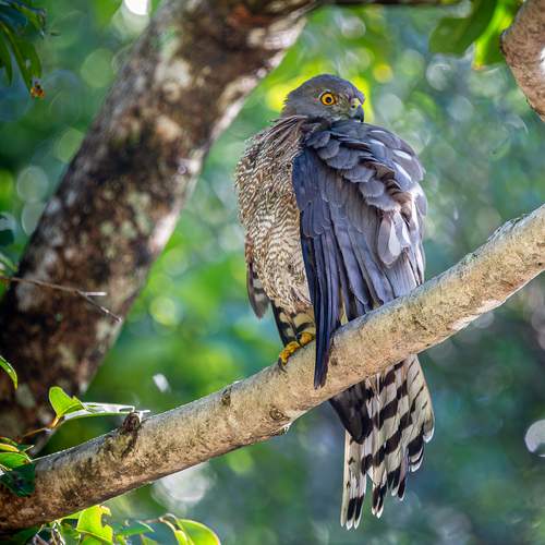 Фотография #13111356