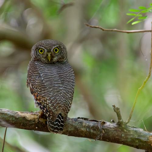 Фотография #13111371