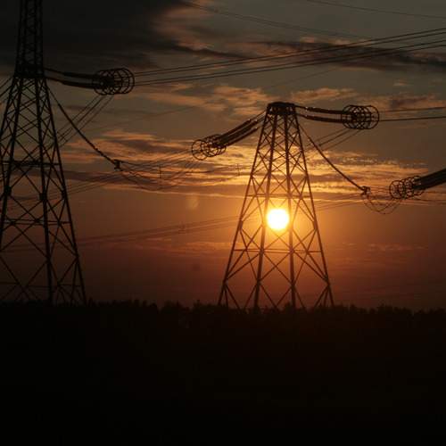 Photo #13111445