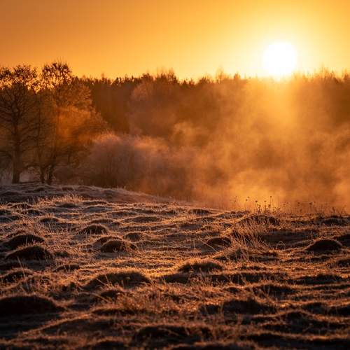 Photo #13111449